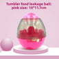 A leaky dog toy ball that won't fall over