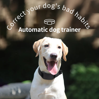 Dog Auto Anti-Bark Collar USB Rechargeable Training Collars Safety Static Shock Humane Electric Anti Bark Collars Pet Supplies