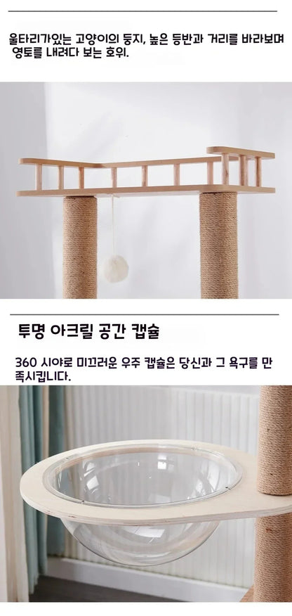 Solid Wood Cat Climbing Frame Household Cats Scratching Post  Nest Four Seasons Big Cats Jumping Platform Large Cat Tree Cat Toy